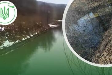 У Бережанах стічними водами забруднили річку Золота Липа