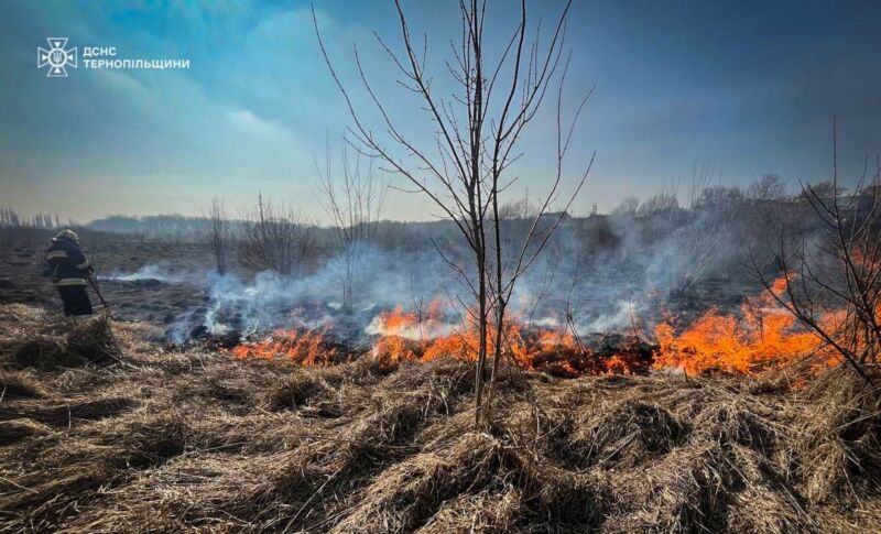 На Тернопільщині активізувалися палії сухої трави: 19 пожеж за добу