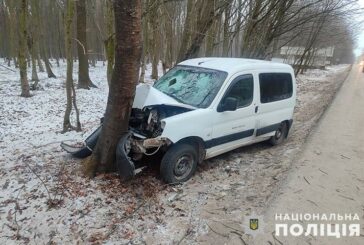 На Теребовлянщині п’яний водій влетів у дерево