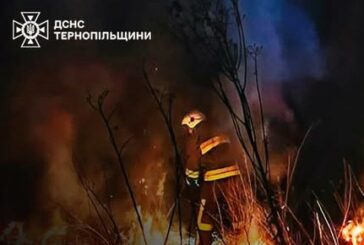 Масштабні займання сухої трави на Тернопільщині: рятувальники гасили 14 пожеж