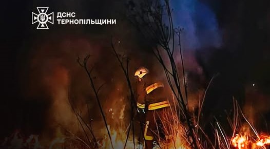 Масштабні займання сухої трави на Тернопільщині: рятувальники гасили 14 пожеж