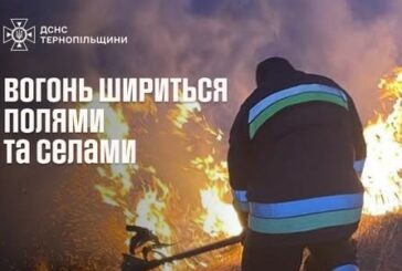 Вогонь шириться полями та селами: на Тернопільщині горіло 10 гектарів сухої трави
