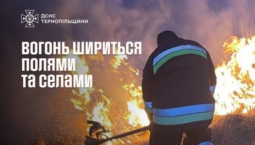 Вогонь шириться полями та селами: на Тернопільщині горіло 10 гектарів сухої трави