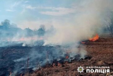 Жителів Тернопільщини просять не палити сухостій: під час війни загрожують великі штрафи та навіть довічне ув'язнення