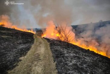 Спалювання сухої трави: цьогоріч на Тернопільщині вже нарахували 418 пожеж в екосистемах