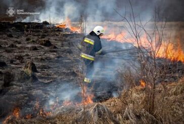 За вихідні на Тернопільщині сталося 29 пожеж, більшість через підпали сухої трави