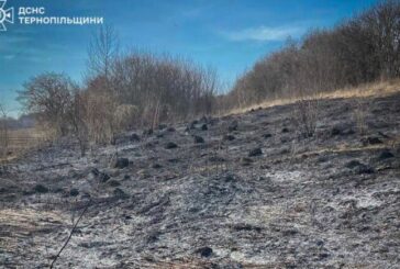 Невгамовні палії: на Тернопільщині у десятьох місцях горіла суха трава