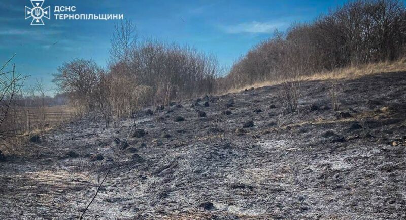 Невгамовні палії: на Тернопільщині у десятьох місцях горіла суха трава
