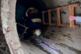 Врятували пухнастика: на Тернопільщині з колодязя витягнули собаку