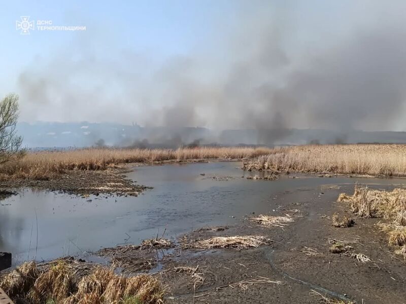 Рятувальники гасять масштабну пожежу біля Тернополя: горить очерет