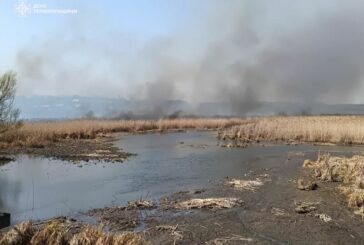 Не паліть суху траву: рятувальники всю ніч гасили пожежу біля Тернополя