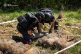 На Тернопільщині рятувальники знищили боєприпаси часів минулих воєн, які випадково відкопали селяни