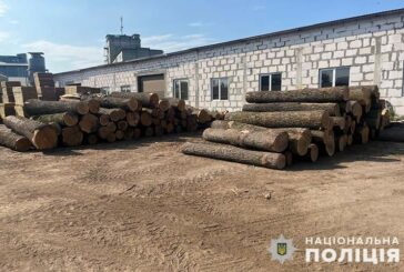 На Тернопільщині зловмисники разом із лісниками незаконно вирубували дерева
