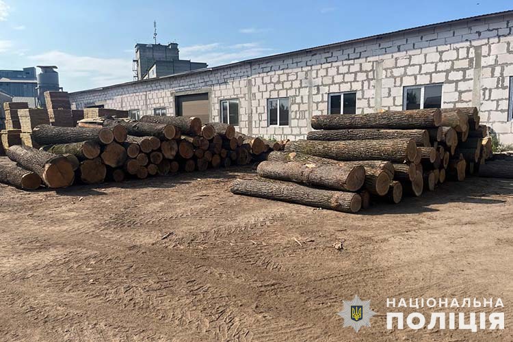 На Тернопільщині зловмисники разом із лісниками незаконно вирубували дерева