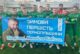 ФК «Борщів» – перший фіналіст Зимової першості Тернопільщини