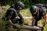 На Тернопільщині вилучили та знищили артснаряди, авіабомби, міни