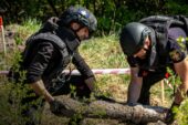 На Тернопільщині вилучили та знищили артснаряди, авіабомби, міни