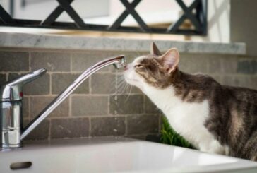 У Тернополі 24 квітня подекуди не буде води