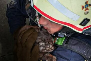 На Тернопільщині рятувальники витягли кота з криниці