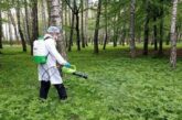 Тернополян просять не ходити в парки - оброблятимуть від кліщів (ГРАФІК)