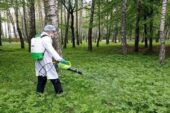 Тернополян просять не ходити в парки - оброблятимуть від кліщів (ГРАФІК)