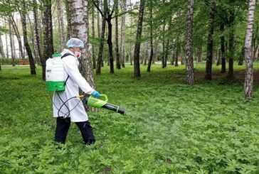 Тернополян просять не ходити в парки - оброблятимуть від кліщів (ГРАФІК)