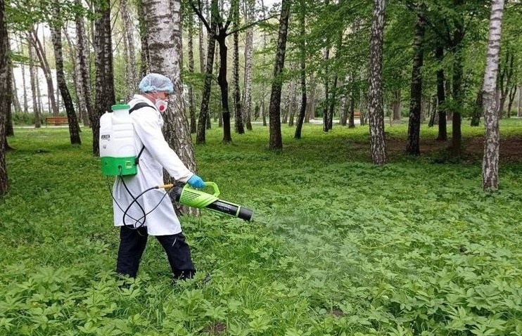 Тернополян просять не ходити в парки – оброблятимуть від кліщів (ГРАФІК)