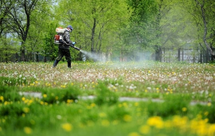 Коли парки Тернополя планують обробляти від кліщів
