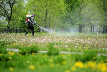 У Тернополі змінили графік обробки парків від кліщів - через погоду
