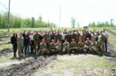 На Тернопільщині висадили 4077 дубів: це - про кожен день, який Україна вистояла з 2014 року