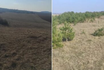 Громаді на Кременеччині через порушення договору оренди повернули понад 12 гектарів землі