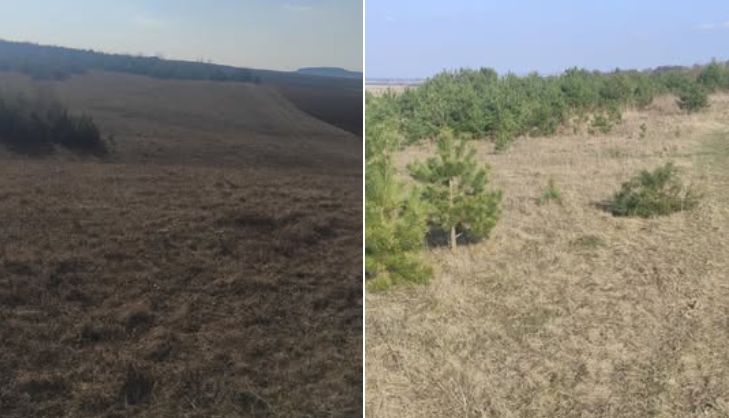 Громаді на Кременеччині через порушення договору оренди повернули понад 12 гектарів землі