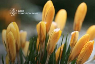 На Тернопільщині оголосили штормове попередження, знову прогнозують заморозки