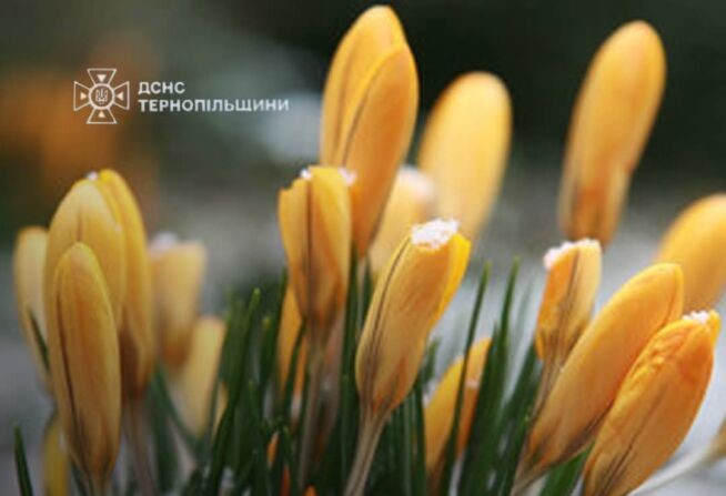 На Тернопільщині оголосили штормове попередження, знову прогнозують заморозки