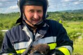 Кожне життя важливе: на Тернопільщині вогнеборці врятували їжачка з полум'я