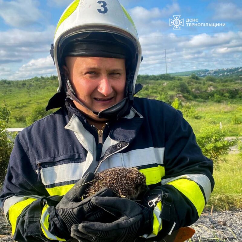 Кожне життя важливе: на Тернопільщині вогнеборці врятували їжачка з полум’я