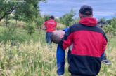 Більше трьох діб невідомості: знайшли маленького хлопчика, якого допомагали шукати тернопільські рятувальники