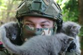 Вусато-хвостаті побратими Князівських артилеристів: котики дарують радість нашим воїнам