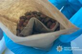 Житель Тернопільщини ховав наркотики в кормі для котів