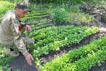 Військовий із Тернопільщини доглядає за грядками на передовій