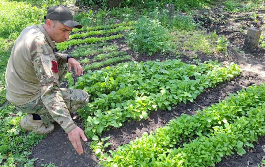 Військовий із Тернопільщини доглядає за грядками на передовій