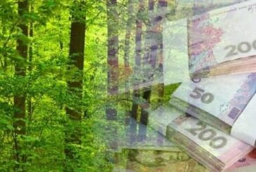 На Тернопільщині райагроліс сплатить 700 тисяч гривень за 80 незконно зрубаних дубів