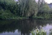 Нещасний випадок: у річці в Теребовлі втопився чоловік