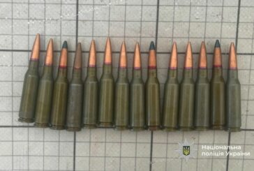 Яку незаконну зброю декларують на Тернопільщині?