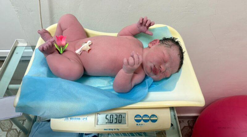 фото богатир