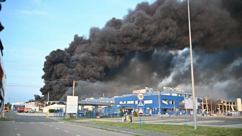 фото момкалв