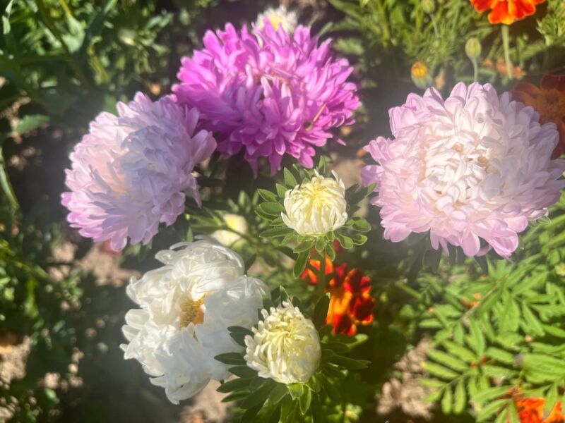 FB_IMG_1757608478216