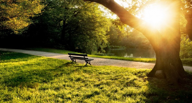 фото погода