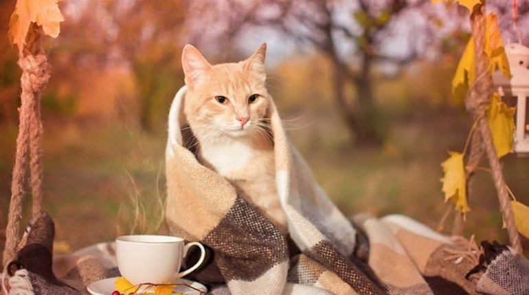 fxczes9lafz6mnxugdpu