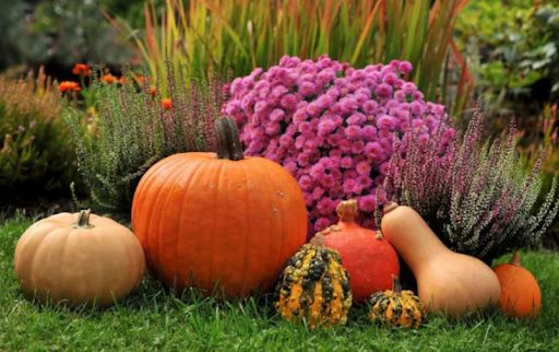 фото жовтень